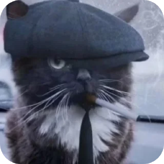 Стикер Приколыши всякие? - 3