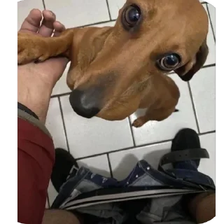 Стикер Курюбайрактар - 11