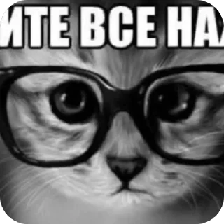 Стикер Курюбайрактар - 10