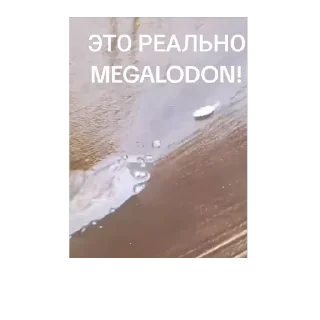 Sticker Приват - 7