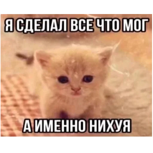 Sticker PrivetMedved43 - 1