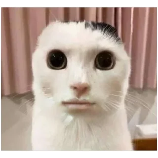 Sticker Призыв славы - 10