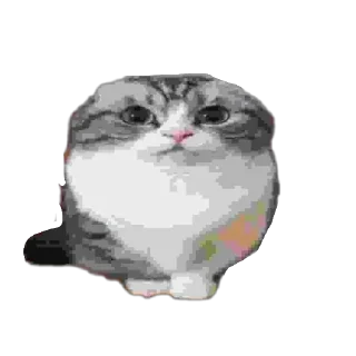 Sticker Призыв славы - 1