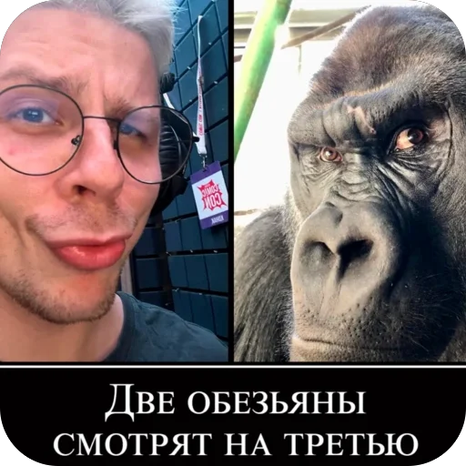 Стикер Prosto7426 - 1