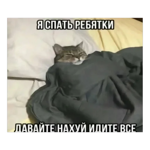 Sticker Prosto7426 - 1