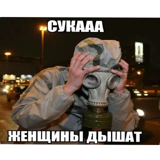 Sticker Pugozavry pack - 8