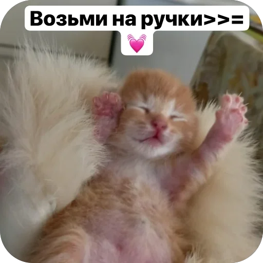 Стикер Puti758 - 1