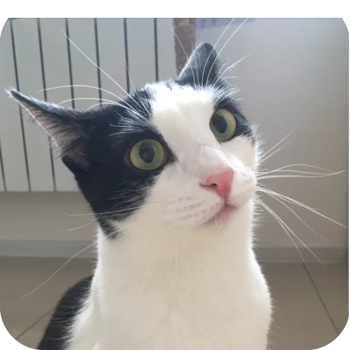 Милашки💗 - 