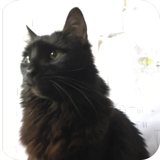 Стикер Puti758 - 1