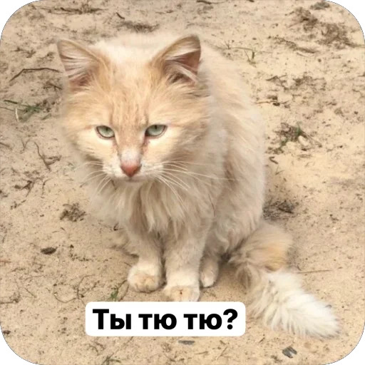 Стикер Puti758 - 1