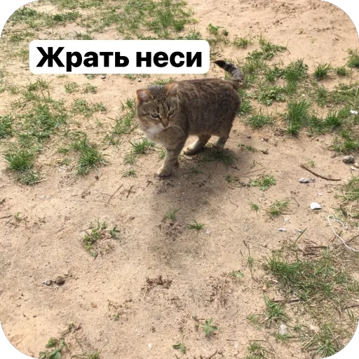 Стикер Puti758 - 1