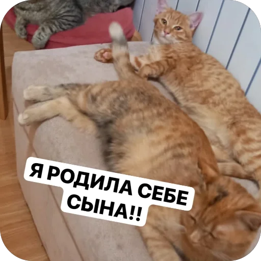 Стикер Puti758 - 1