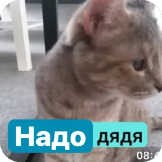 Sticker Милашки💗 - 10
