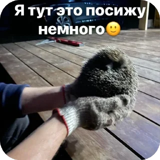 Sticker Милашки💗 - 7