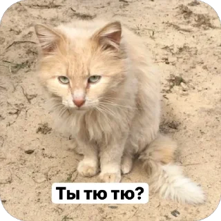 Sticker Милашки💗 - 3