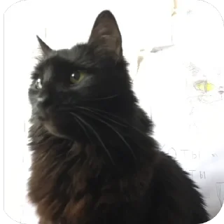 Sticker Милашки💗 - 5