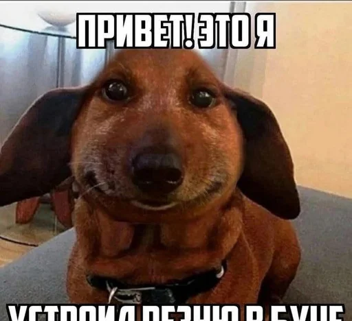 Sticker PutinZXC - 1