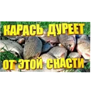 Sticker Котики котята цветочки - 9