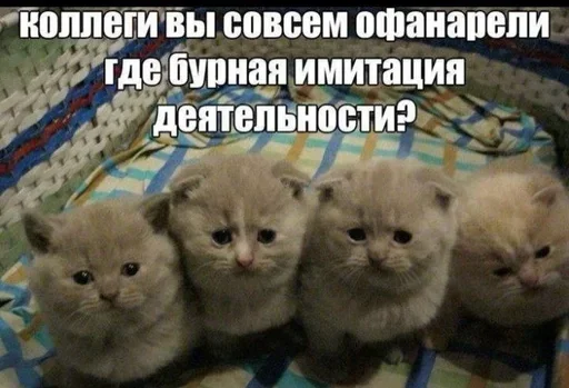 Sticker QLIVOIM_by_stikers_du_ark_bot - 1