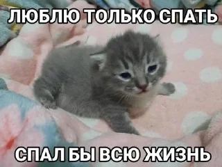 Стикер @sticksbb <— больше стиков💓💘💞 - 10