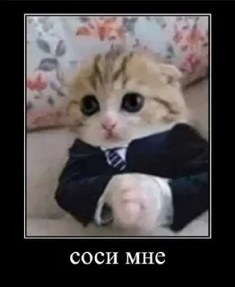 Стикер @sticksbb <— больше стиков💓💘💞 - 3