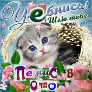 Стикер @sticksbb <— больше стиков💓💘💞 - 7