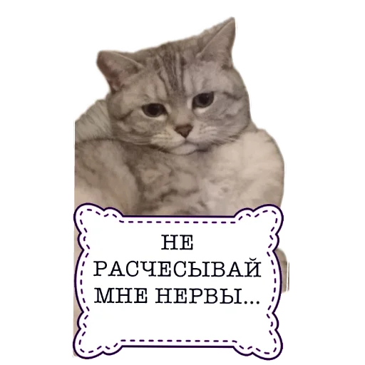 Sticker RETRITVKrasnodare - 1