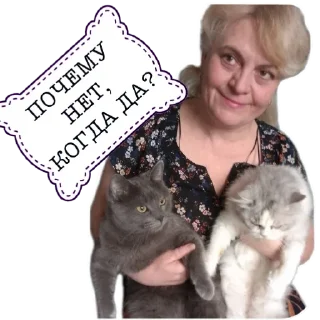 Стикер РЕТРИТ в Краснодаре - 1