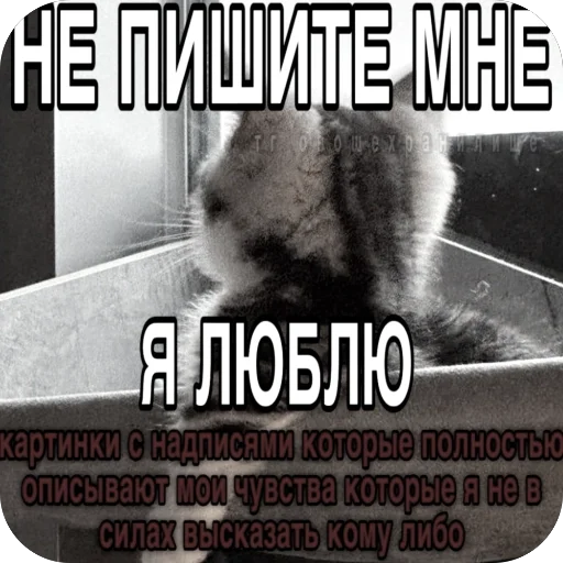 Стикер RandomByE3nchant1x - 1