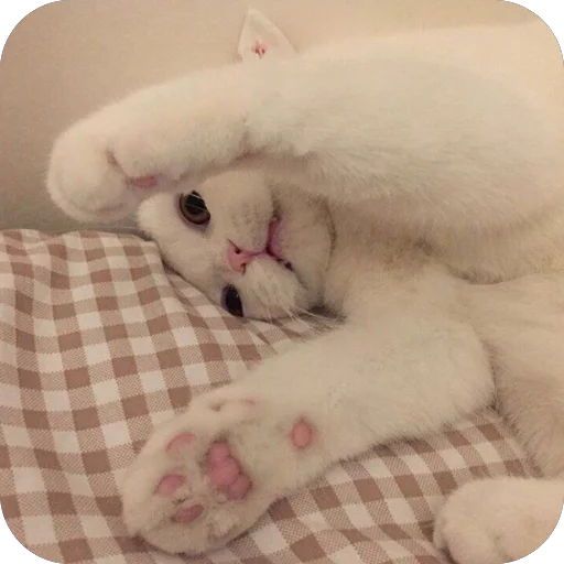 Sticker RandomByE3nchant1x - 1