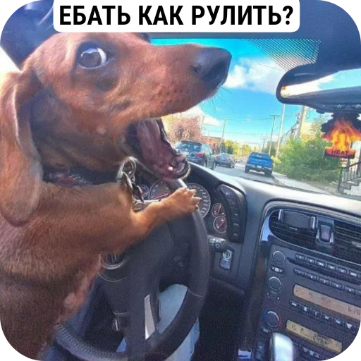 Стикер RandomVeshchi6 - 1