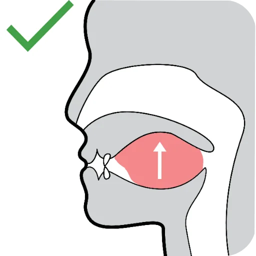 Sticker RealSigm - 1