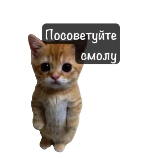 Стикер @ResinArtscool - 5