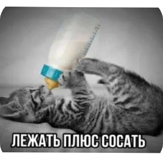 Стикер Silly pack by @ABC_ABC123_45 - 7