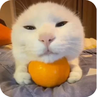 Стикер Silly pack by @ABC_ABC123_45 - 6