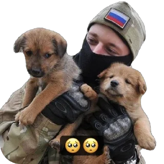 Sticker Romanpartizan @TgEmodziBot - 7