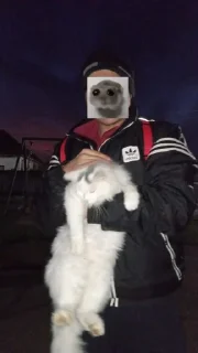 Sticker Русики @TgEmodziBot - 3