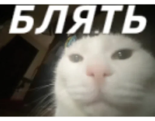 Sticker RxSticks - 1