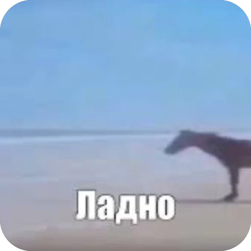 Sticker RxSticks - 1