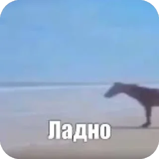 Sticker Rx_sticks - 2