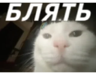 Sticker Rx_sticks - 9