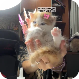 Стикер рыжий котеночек - 1