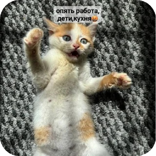 Стикер рыжий котеночек - 4