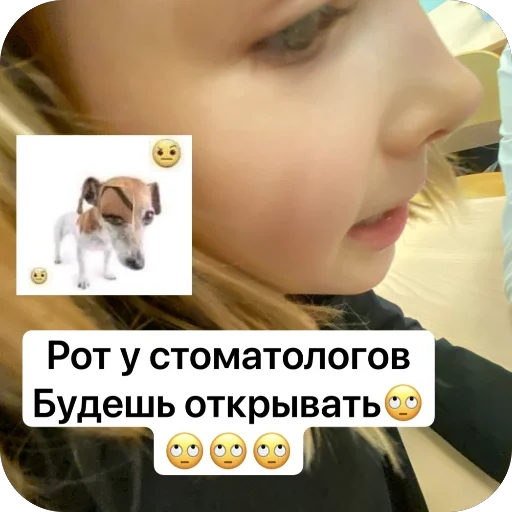 Sticker SHCHavel_snitsya - 1