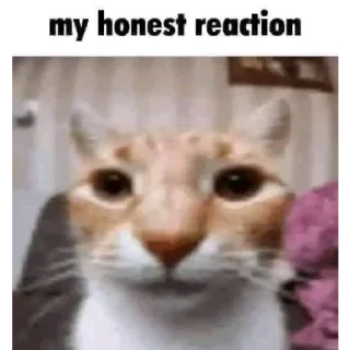 Sticker Рыбка Адун @tg0XXXlGEN - 2