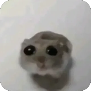 Sticker Рыбка Адун @tg0XXXlGEN - 11