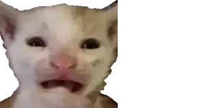 Sticker Рыбка Адун @tg0XXXlGEN - 7