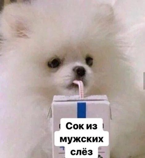 Стикер SHoTam23 - 1