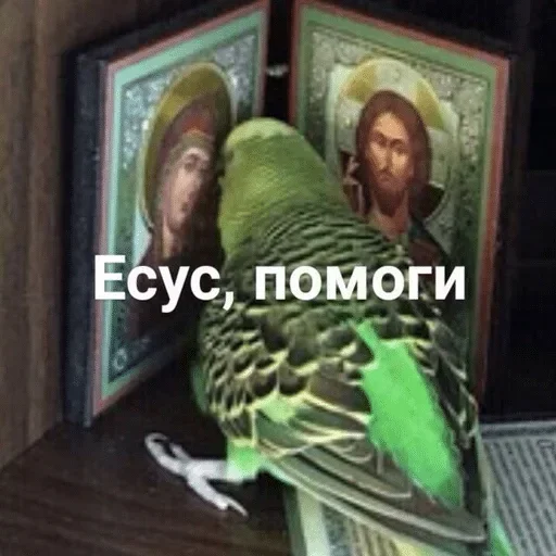 Стикер SHoTam23 - 1