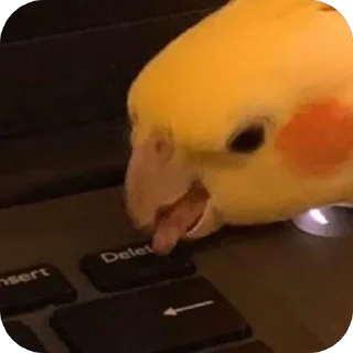 Стикер Шо там, Алиса? - 9